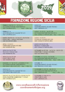 CORSI SICILIA - Engea, corsi di formazione equestre