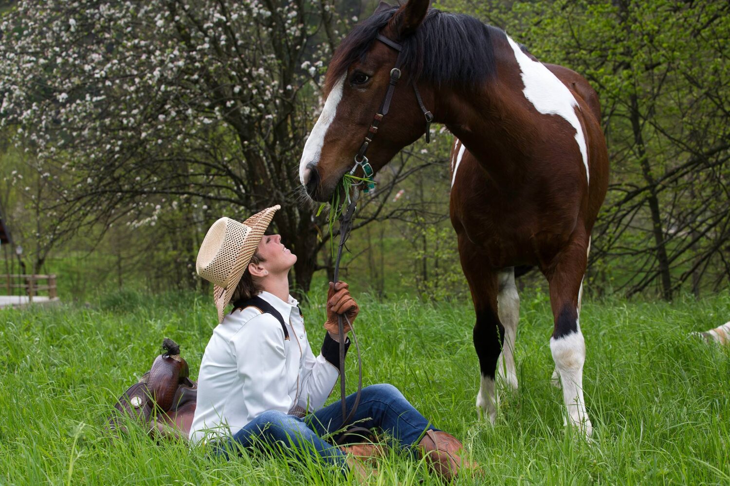 Passione trekking, tutto per il cavallo