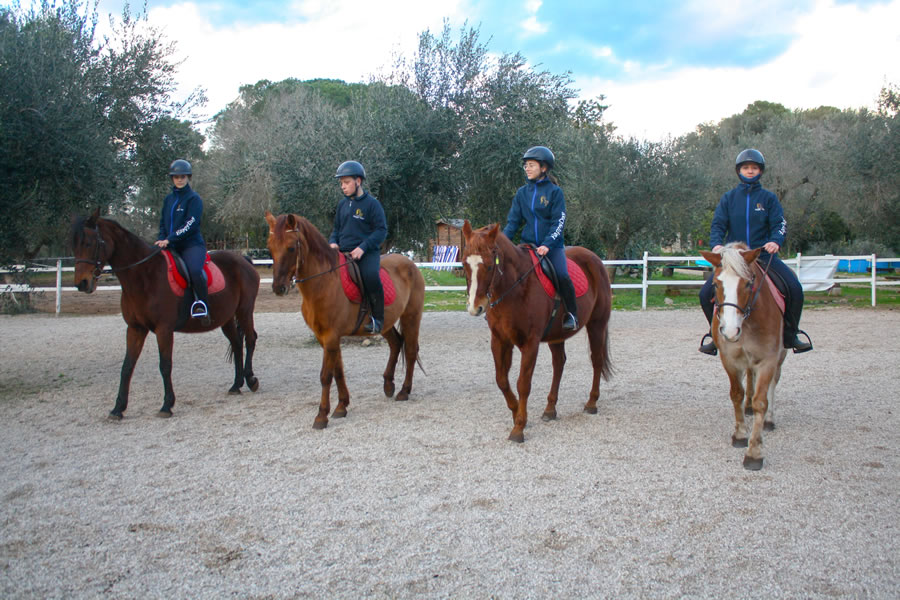 formazione Show Salto Filler Regalo di Natale SCUOLA Equestre Cavallo degli aiuti formazione 
