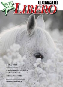 RIVISTA CAVALLO LIBERO - DICEMBRE 2023-1_page-0001