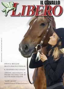 cavallo_libero
