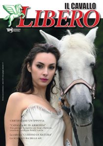 cavallolibero