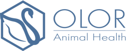 logo-olor-health-white-600x235