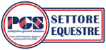 logo_pgs_web