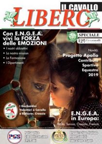 page_1_thumb_large (10)