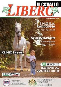page_1_thumb_large (12)