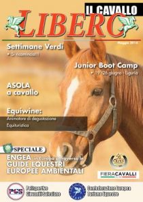 page_1_thumb_large (22)