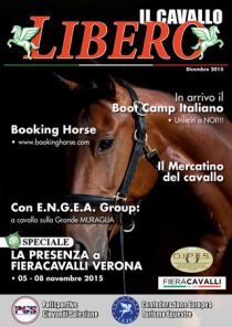 page_1_thumb_large (24)